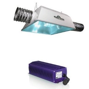 Flora Hydroponics 400 Watt MH Radiant 6AC Economy Grow Light System & PH Control Kit Bundle Pack