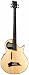 Warwick Rockbass Alien Fretless Acoustic Electric Bass Guitar - Natural
