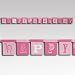 SALE Pink Party Jointed Birthday Banner SALE