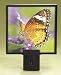 Butterfly Night Light