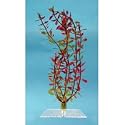 Tetra Water Wonders Fresh Water Plant Rotala, 12-Inch