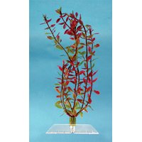 Tetra Water Wonders Fresh Water Plant Rotala, 12-Inch