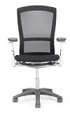 Life Office Chair Fully Adjustable by Knoll
