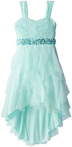 Rare Editions Big Girls' Mint Mesh Dress
