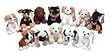 Tomy - Animaux - Barquette Peluches � billes Nintendogs Ouaf Ouaf