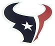 Houston Texans 12" Logo Car Magnet - Football Sports Merchandise