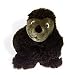 Kitchen & Housewares : Plush Puppies Harley the Hedgehog II Tug N Ring Dog Toy