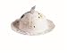 Lenox Butterfly Meadow Bone Porcelain Covered Round Butter Dish