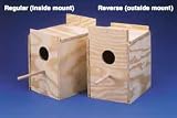 Cockatiel Nest Box Rev