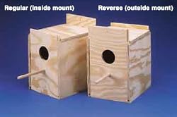 WARE NEST BOX KEET REGULAR