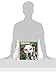 2016 Just Dalmatians Wall Calendar