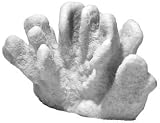 CATS PAW CORAL XL NAT 4