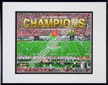 Ohio State Buckeyes 2010 