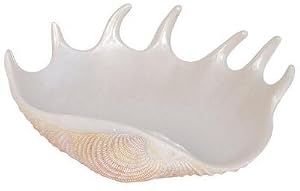 Ocean Breezes - Soap Dish