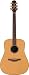 Takamine AN10S Solid Top Acoustic Guitar