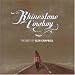 Rhinestone Cowboy-the Best of