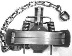 (6 Pack) Bridger No. 1.65 Coil Spring Trap Jaw Spread 5 3/8" by Bridger