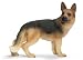GERMAN SHEPHERD FEMALE by Schleich