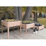 Cedar Creek 3624 Raised Garden