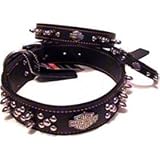 Coastal Pet Harley-Davidson Spiked Leather Dog Collar (Black, 12 Inch L x 3/8 Inch W)