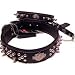 Coastal Pet Harley-Davidson Spiked Leather Dog Collar (Black, 12 Inch L x 3/8 Inch W)