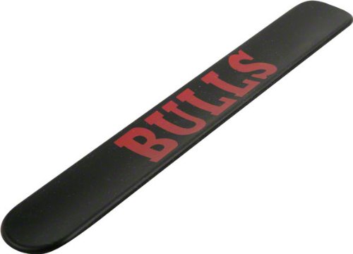 Chicago Bulls Team Slap Band