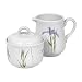 Corelle Coordinates Sugar and Creamer Set, Shadow Iris