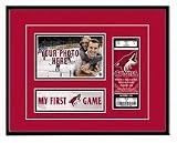 Phoenix Coyotes
