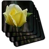 A yellow Rose - Set Of 8 Coasters - Soft