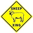 SHEEP CROSSING sign * street farm animal