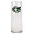 Florida Gators NCAA 9 Flower Vase - Primary Logo by Great American Products