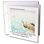 Londons Times Funny Society Cartoons - Planes Found Bermuda Triangle Lost - Greeting Cards-12 Greeting Cards with envelopes