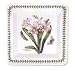 BOTANIC GARDEN SQUARE SALAD PLATE 8.5"