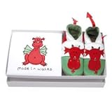Babygro & Shoes - Welsh Dragon Gift Set (0-6 months)