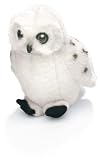 Snowy Owl 9