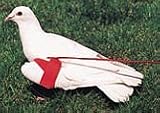 Pigeon or Chukar Wing Strap with Cord, Prevents Flying