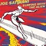Surfing With The Alien