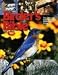 Book Birder's Bible: The Ultimate Bird Watching Reference Guide