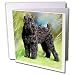 Dogs Black Russian Terrier - Black Russian Terrier - Greeting Cards-12 Greeting Cards with envelopes