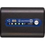  : Sony NP-QM91D Lithium-Ion Battery for DCR-DVD101, 201, 301, SR1 & HDR-HC1 Camcorders