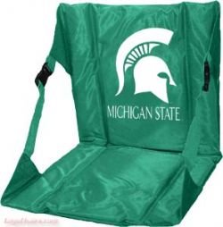 Michigan State Stadium Seat