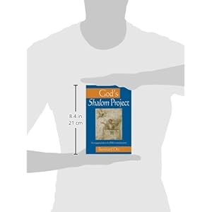 God's Shalom Project: An engaging look at the Bible's sweeping story