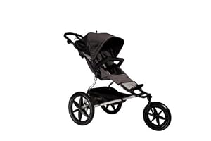 Mountain Buggy Terrain Stroller, Flint