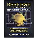 Reef Fish In-A-Pocket Guide Florida Caribbean Bahamas