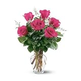 Six Hot Pink Roses