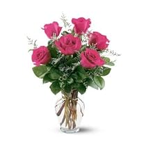 Six Hot Pink Roses