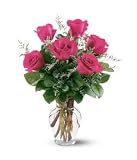 Six Hot Pink Roses