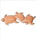 Baby Turtle Wall Decor~Bali Art Home Decor~CraftNetwork