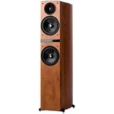 Floor Standing Speaker,Vanns.com
