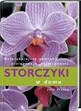 Storczyki w domu